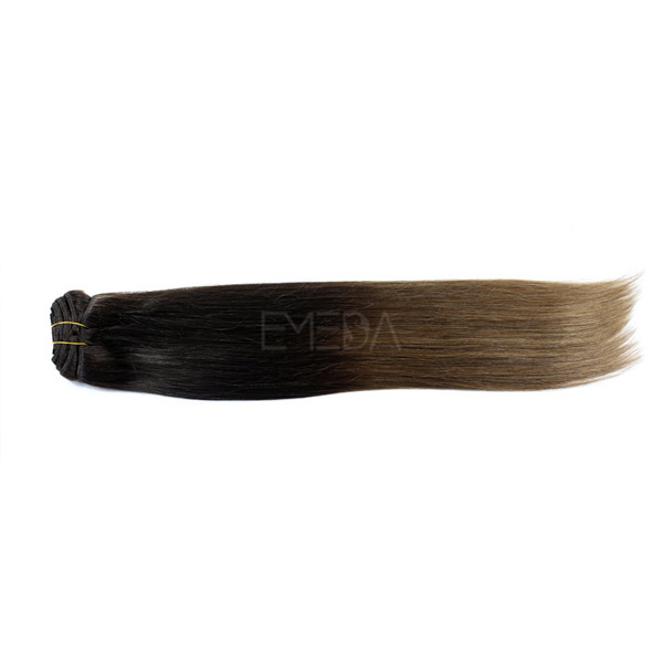 220g remy clip in hair extension LJ220 